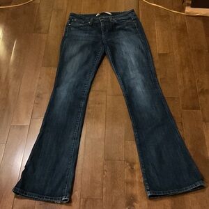 Joe's Jeans “Visionaire” fit, Indigo Wide Leg Denim